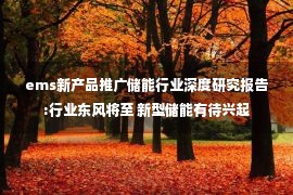 ems新产品推广储能行业深度研究报告:行业东风将至 新型储能有待兴起