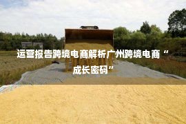 运营报告跨境电商解析广州跨境电商“成长密码”