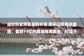 成功创业项目案例分享 烫手山芋甩给美团，套现15亿的胡玮炜再创业，打造下一个摩拜？