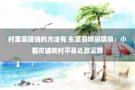 村里面赚钱的方法有 东至县喷鼻隅镇：小菊花铺就村平易近致富路