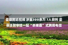 渠县附近视频 涉案300余万 7人获刑 渠县法院审结一起“杀猪盘”式跨境电信网络诈骗案