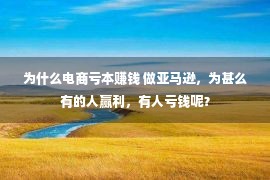 为什么电商亏本赚钱 做亚马逊，为甚么有的人赢利，有人亏钱呢？