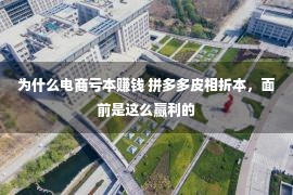 为什么电商亏本赚钱 拼多多皮相折本，面前是这么赢利的