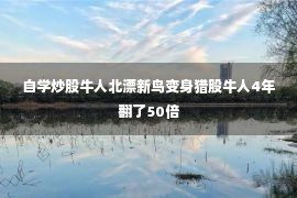 自学炒股牛人北漂新鸟变身猎股牛人4年翻了50倍