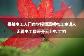 基础电工入门自学视频草根电工主讲人无锡电工康哥开云上电工学�