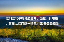 江门江北小吃乌勤藤丸、出糍、钅卷糍、箩糍…江门这一特色小吃 备受央视关注！