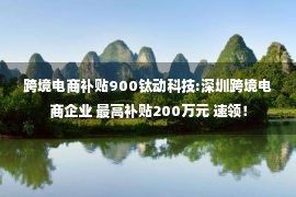 跨境电商补贴900钛动科技:深圳跨境电商企业 最高补贴200万元 速领！