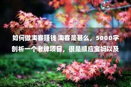 如何做淘客赚钱 淘客是甚么，5000字剖析一个老牌项目，很是顺应宝妈以及上班族副业