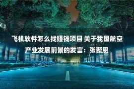 飞机软件怎么找赚钱项目 关于我国航空产业发展前景的发言：张聚恩