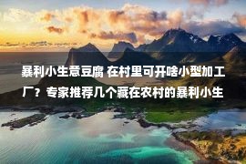 暴利小生意豆腐 在村里可开啥小型加工厂？专家推荐几个藏在农村的暴利小生意！