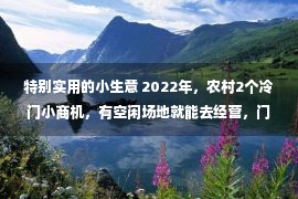 特别实用的小生意 2022年，农村2个冷门小商机，有空闲场地就能去经营，门槛还很低