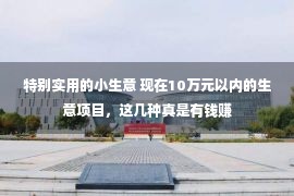 特别实用的小生意 现在10万元以内的生意项目，这几种真是有钱赚