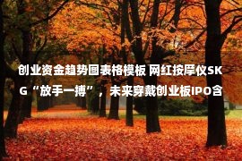 创业资金趋势图表格模板 网红按摩仪SKG“放手一搏”，未来穿戴创业板IPO含金量几何？