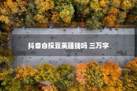 抖音自投豆荚赚钱吗 三万字