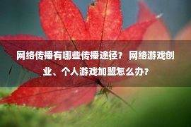 网络传播有哪些传播途径？ 网络游戏创业、个人游戏加盟怎么办？