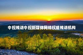 中视推进中视新媒体网络权威推进机构