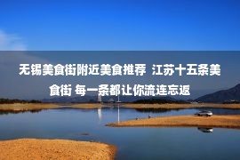 无锡美食街附近美食推荐  江苏十五条美食街 每一条都让你流连忘返