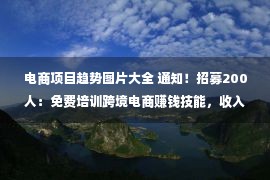 电商项目趋势图片大全 通知！招募200人：免费培训跨境电商赚钱技能，收入不到1万的人速进！