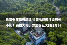 抖音电商趋势品牌 抖音电商做搜索有何不同？看周大福、方里等五大品牌如何通过搜索获取新增量｜DOUCASE