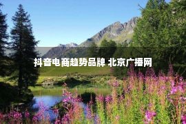 抖音电商趋势品牌 北京广播网