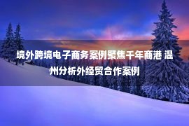 境外跨境电子商务案例聚焦千年商港 温州分析外经贸合作案例