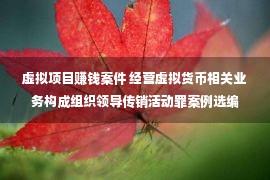 虚拟项目赚钱案件 经营虚拟货币相关业务构成组织领导传销活动罪案例选编