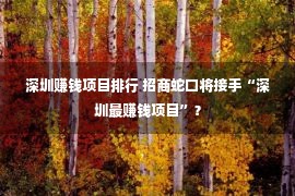 深圳赚钱项目排行 招商蛇口将接手“深圳最赚钱项目”？