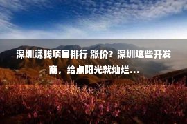 深圳赚钱项目排行 涨价？深圳这些开发商，给点阳光就灿烂…