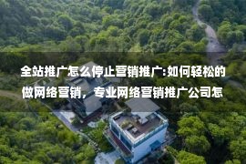 全站推广怎么停止营销推广:如何轻松的做网络营销，专业网络营销推广公司怎么做网络营销