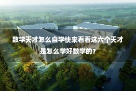 数学天才怎么自学快来看看这六个天才是怎么学好数学的？