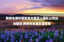 跨境电商加薪发放方案百人团队公司纷纷倒闭 跨境年末裁员潮来临