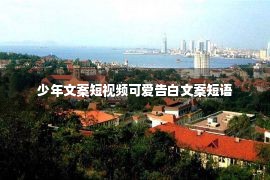 少年文案短视频可爱告白文案短语