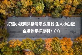 打造小视频头条号怎么赚钱 生人小白做自媒体怎样赢利？(1)