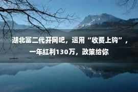  湖北富二代开网吧，运用“收费上钩”，一年红利130万，政策给你