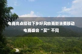 电商亮点经验下乡好风物商新消费移动电商盛会“买”不同