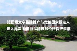 短视频文字品牌推广与竞价国家候选人进入尾声 新能源品牌掀起价格保护浪潮两死一伤 “潮州事件”未破特斯拉又出事