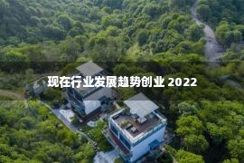 现在行业发展趋势创业 2022