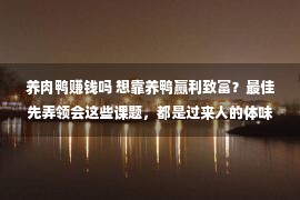 养肉鸭赚钱吗 想靠养鸭赢利致富？最佳先弄领会这些课题，都是过来人的体味之谈