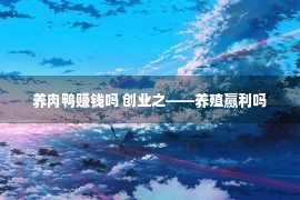 养肉鸭赚钱吗 创业之——养殖赢利吗