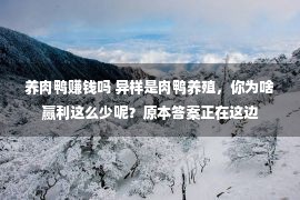 养肉鸭赚钱吗 异样是肉鸭养殖，你为啥赢利这么少呢？原本答案正在这边