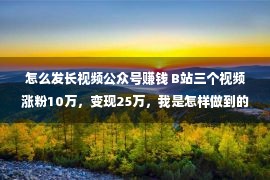 怎么发长视频公众号赚钱 B站三个视频涨粉10万，变现25万，我是怎样做到的？