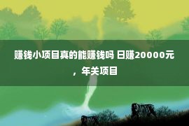 赚钱小项目真的能赚钱吗 日赚20000元，年关项目