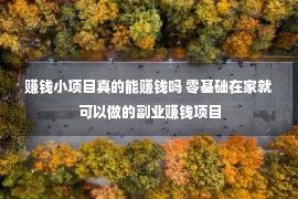 赚钱小项目真的能赚钱吗 零基础在家就可以做的副业赚钱项目