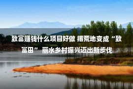 致富赚钱什么项目好做 撂荒地变成“致富田” 丽水乡村振兴迈出新步伐