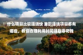 什么项目比较赚钱快 兼职赚钱项目都有哪些，教你合理利用时间赚取零花钱