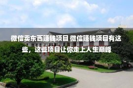 微信卖东西赚钱项目 微信赚钱项目有这些，这些项目让你走上人生巅峰