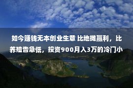 如今赚钱无本创业生意 比地摊赢利，比养殖告急低，投资900月入3万的冷门小买卖