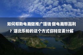 如何帮助电商做推广赚钱 做电商想赢利？湖北乐柏的这个方式你特定要分解