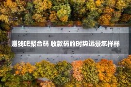 赚钱吧聚合码 收款码的时势远景怎样样