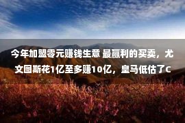 今年加盟零元赚钱生意 最赢利的买卖，尤文图斯花1亿至多赚10亿，皇马低估了C罗的作用力